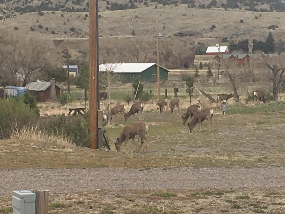 South Fork Lodge & Rv Park Colorado Экстерьер фото